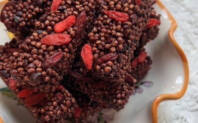 BARRETTE CIOCCOLATO E BACCHE DI GOJI