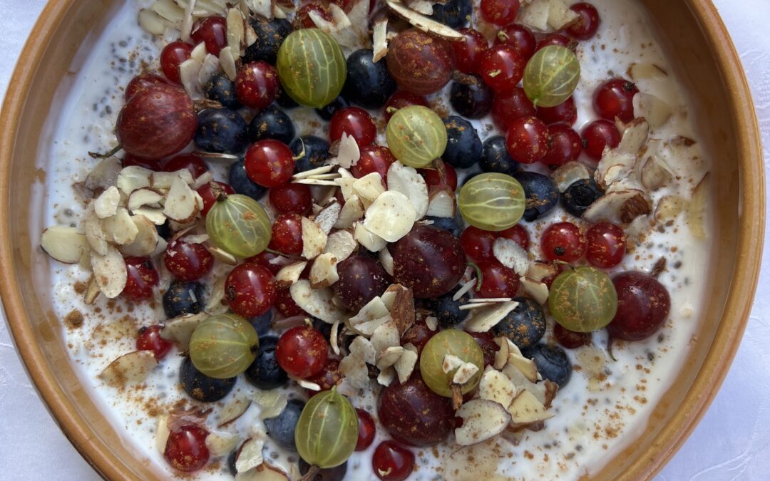 AVENA – CHIA