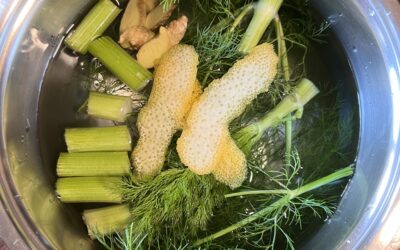 TISANA DI BARBA E GAMBI DI FINOCCHIO